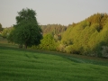 IMGP7777