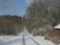 IMGP8345